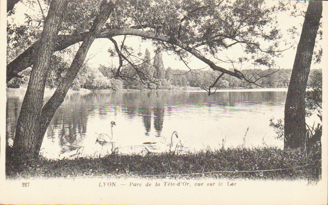 Cartes postales anciennes > CARTES POSTALES > carte postale ancienne > cartes-postales-ancienne.com Auvergne rhone alpes Rhone Lyon 6eme