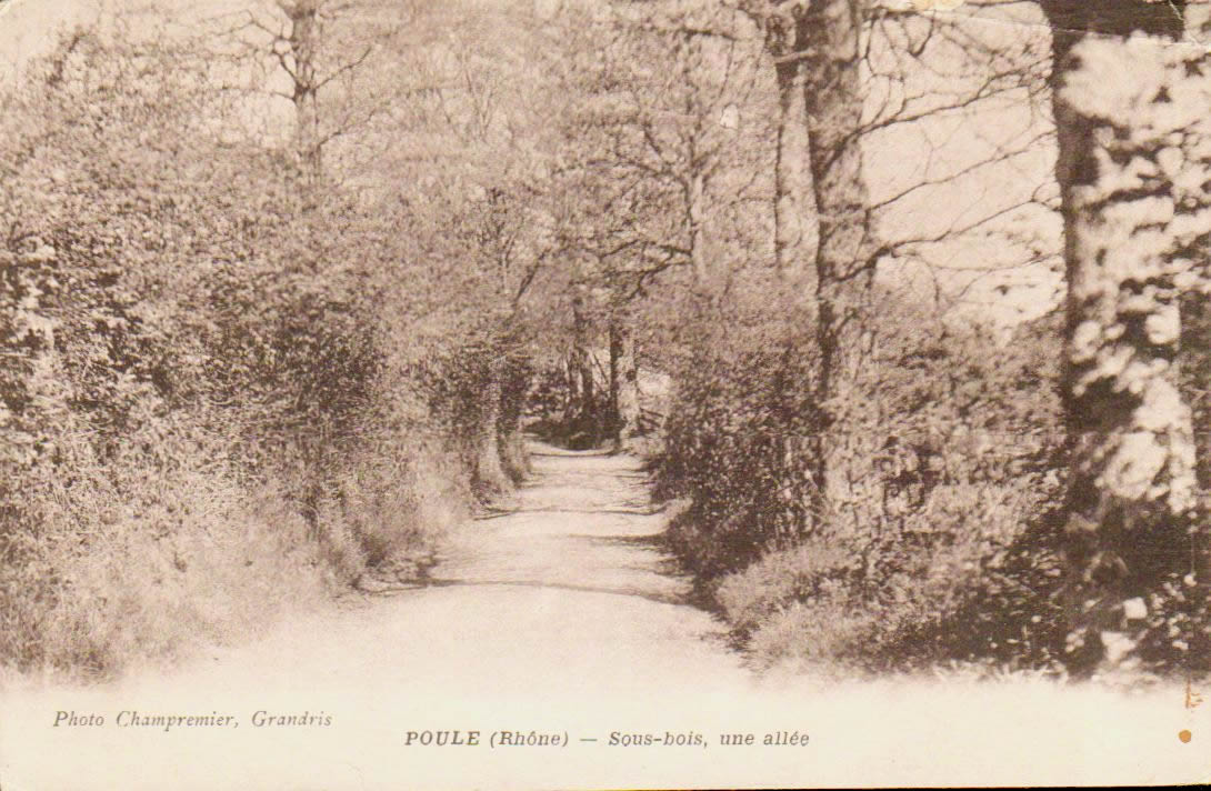 Cartes postales anciennes > CARTES POSTALES > carte postale ancienne > cartes-postales-ancienne.com Auvergne rhone alpes Rhone Poule Les Echarmeaux