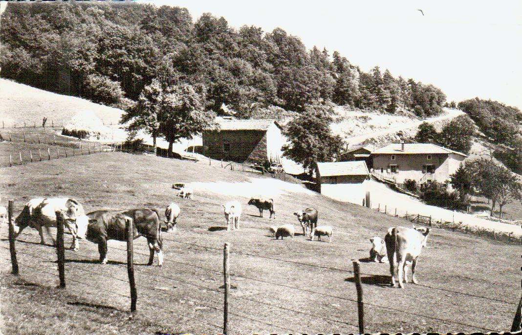 Cartes postales anciennes > CARTES POSTALES > carte postale ancienne > cartes-postales-ancienne.com Auvergne rhone alpes Rhone Yzeron