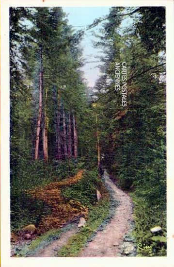 Cartes postales anciennes > CARTES POSTALES > carte postale ancienne > cartes-postales-ancienne.com Rhone  Saint Nizier D Azergues