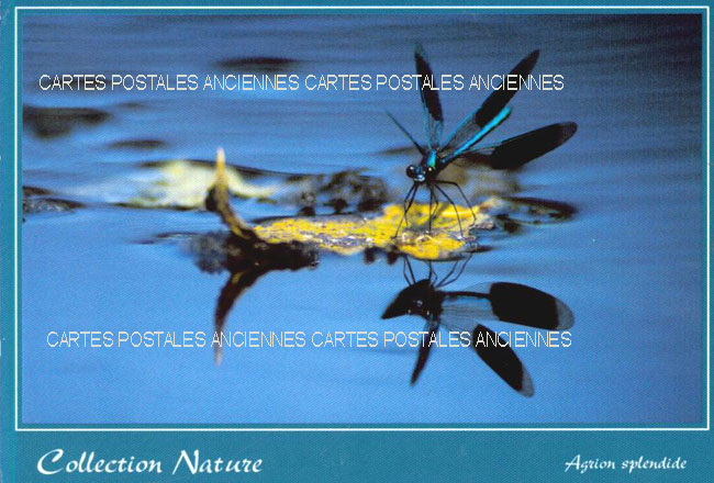 Cartes postales anciennes > CARTES POSTALES > carte postale ancienne > cartes-postales-ancienne.com Auvergne rhone alpes Savoie Brides Les Bains