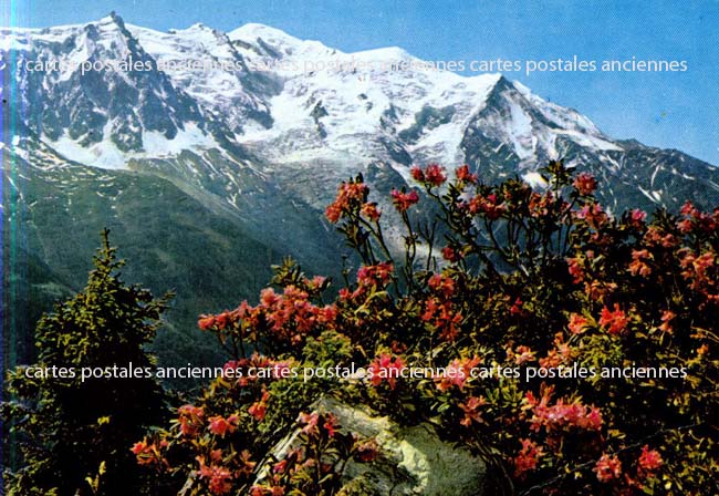Cartes postales anciennes > CARTES POSTALES > carte postale ancienne > cartes-postales-ancienne.com Auvergne rhone alpes Haute savoie Chamonix Mont Blanc