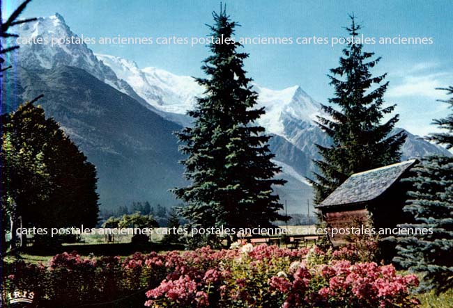 Cartes postales anciennes > CARTES POSTALES > carte postale ancienne > cartes-postales-ancienne.com Auvergne rhone alpes Haute savoie Chamonix Mont Blanc