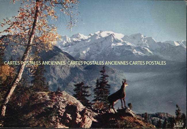 Cartes postales anciennes > CARTES POSTALES > carte postale ancienne > cartes-postales-ancienne.com Auvergne rhone alpes Savoie Saint Pierre D Albigny