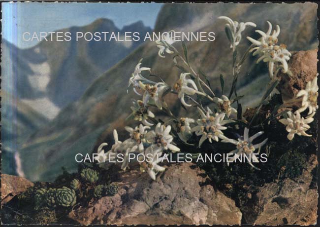 Cartes postales anciennes > CARTES POSTALES > carte postale ancienne > cartes-postales-ancienne.com Auvergne rhone alpes Savoie Bourg Saint Maurice