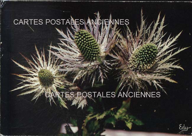 Cartes postales anciennes > CARTES POSTALES > carte postale ancienne > cartes-postales-ancienne.com Auvergne rhone alpes Savoie Termignon
