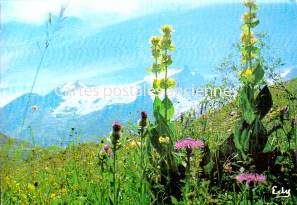 Cartes postales anciennes > CARTES POSTALES > carte postale ancienne > cartes-postales-ancienne.com Auvergne rhone alpes Savoie Aillon Le Jeune