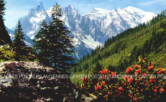 Cartes postales anciennes > CARTES POSTALES > carte postale ancienne > cartes-postales-ancienne.com Haute savoie  Chamonix Mont Blanc