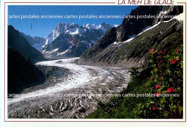 Cartes postales anciennes > CARTES POSTALES > carte postale ancienne > cartes-postales-ancienne.com Haute savoie  Chamonix Mont Blanc