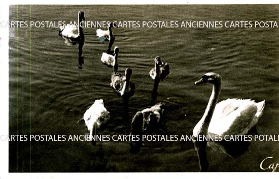 Cartes postales anciennes > CARTES POSTALES > carte postale ancienne > cartes-postales-ancienne.com Haute savoie  Thonon Les Bains
