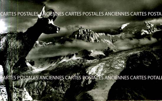 Cartes postales anciennes > CARTES POSTALES > carte postale ancienne > cartes-postales-ancienne.com Haute savoie  Chamonix Mont Blanc