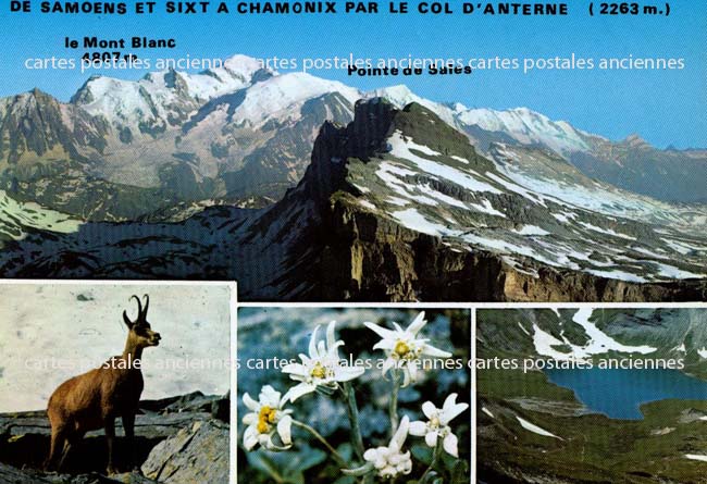 Cartes postales anciennes > CARTES POSTALES > carte postale ancienne > cartes-postales-ancienne.com Haute savoie  Chamonix Mont Blanc