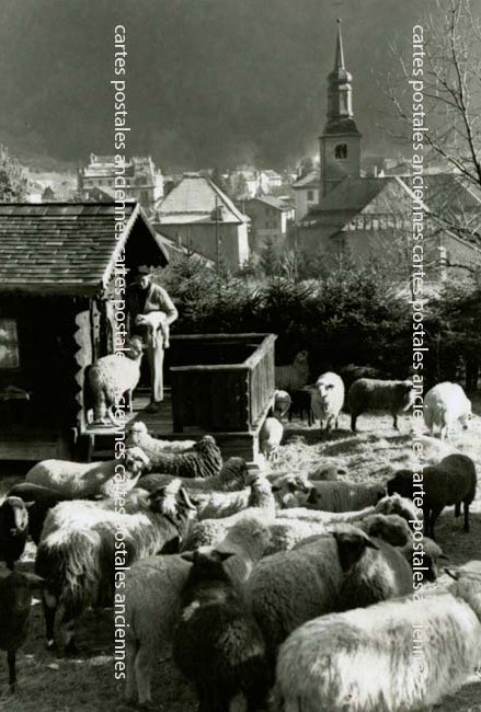 Cartes postales anciennes > CARTES POSTALES > carte postale ancienne > cartes-postales-ancienne.com Haute savoie  Collonges Sur Saleve