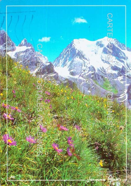 Cartes postales anciennes > CARTES POSTALES > carte postale ancienne > cartes-postales-ancienne.com Auvergne rhone alpes Haute savoie Chamonix Mont Blanc