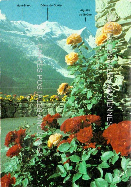 Cartes postales anciennes > CARTES POSTALES > carte postale ancienne > cartes-postales-ancienne.com Auvergne rhone alpes Haute savoie Chamonix Mont Blanc