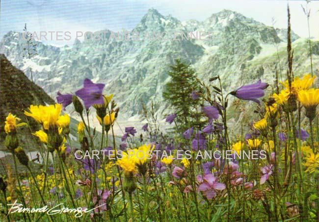 Cartes postales anciennes > CARTES POSTALES > carte postale ancienne > cartes-postales-ancienne.com Auvergne rhone alpes Haute savoie Chamonix Mont Blanc