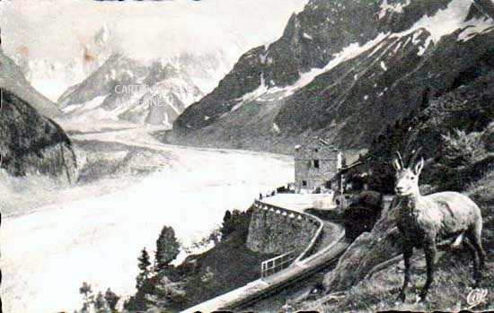 Cartes postales anciennes > CARTES POSTALES > carte postale ancienne > cartes-postales-ancienne.com Haute savoie  Chamonix Mont Blanc