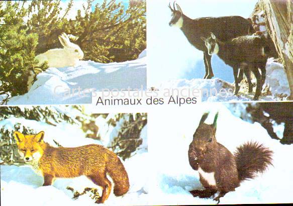 Cartes postales anciennes > CARTES POSTALES > carte postale ancienne > cartes-postales-ancienne.com Auvergne rhone alpes Haute savoie Saint Jorioz