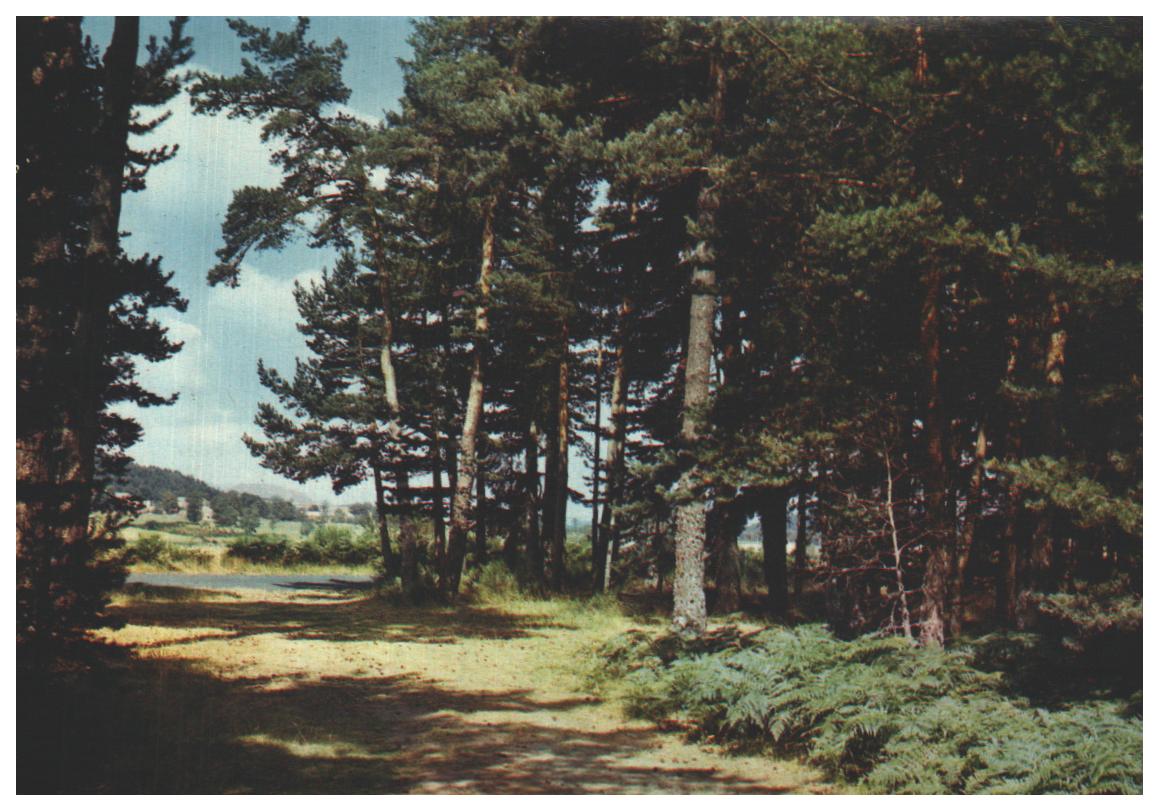 Cartes postales anciennes > CARTES POSTALES > carte postale ancienne > cartes-postales-ancienne.com Auvergne rhone alpes Haute savoie Passy