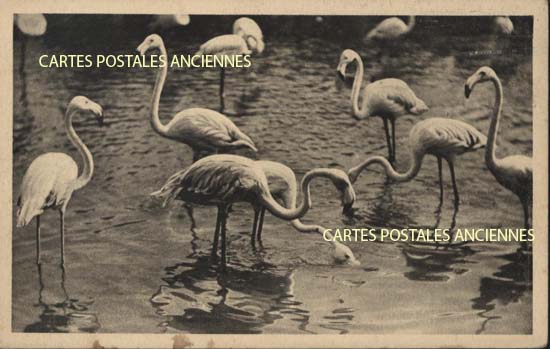 Cartes postales anciennes > CARTES POSTALES > carte postale ancienne > cartes-postales-ancienne.com Ile de france Paris Paris 12eme