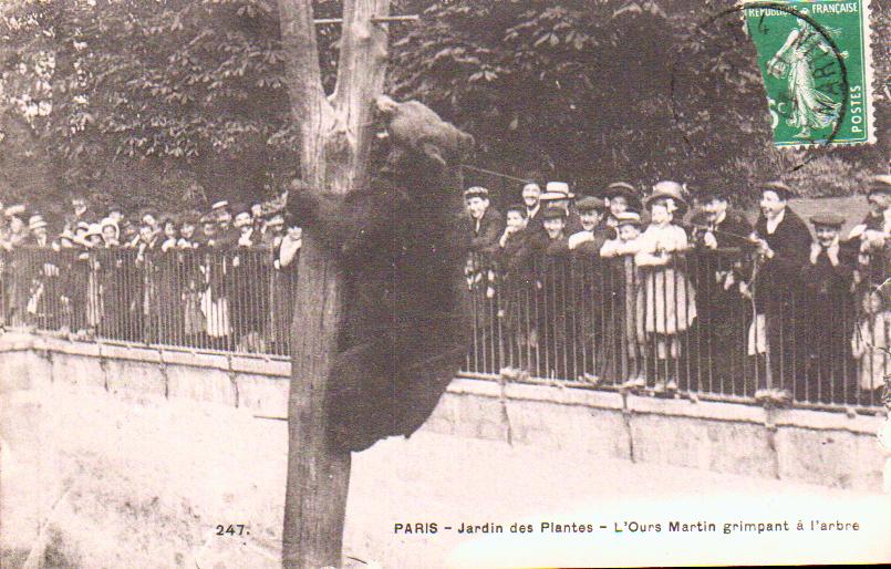 Cartes postales anciennes > CARTES POSTALES > carte postale ancienne > cartes-postales-ancienne.com Ile de france Paris Paris 5eme