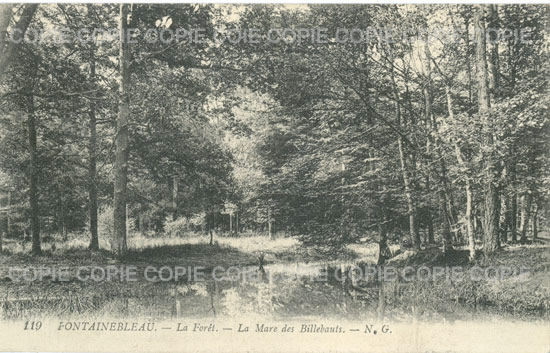Cartes postales anciennes > CARTES POSTALES > carte postale ancienne > cartes-postales-ancienne.com Ile de france Seine et marne Fontainebleau