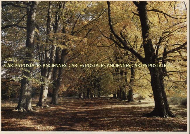Cartes postales anciennes > CARTES POSTALES > carte postale ancienne > cartes-postales-ancienne.com Normandie Seine maritime Oissel