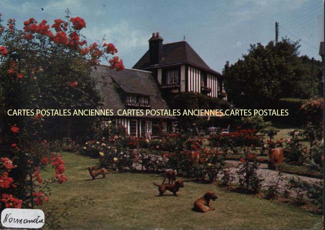Cartes postales anciennes > CARTES POSTALES > carte postale ancienne > cartes-postales-ancienne.com Normandie Seine maritime Veules Les Roses