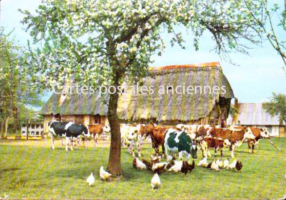 Cartes postales anciennes > CARTES POSTALES > carte postale ancienne > cartes-postales-ancienne.com Normandie Orne Sees