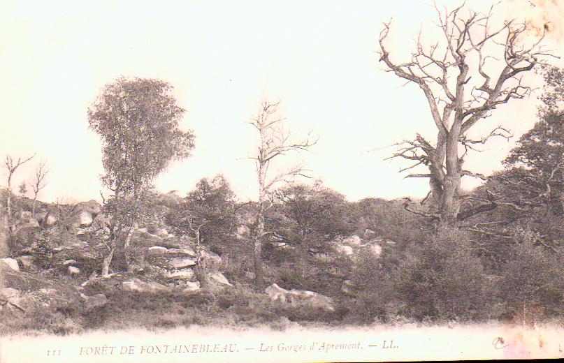 Cartes postales anciennes > CARTES POSTALES > carte postale ancienne > cartes-postales-ancienne.com Ile de france Seine et marne Fontainebleau