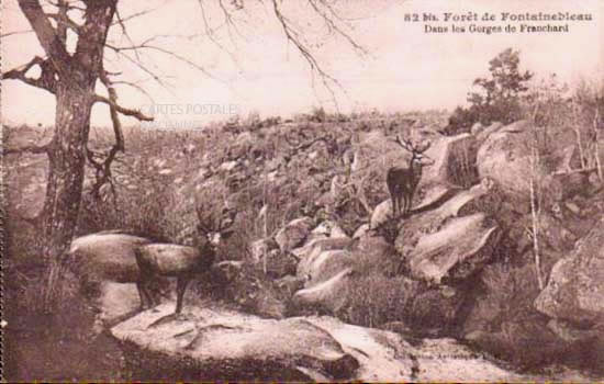Cartes postales anciennes > CARTES POSTALES > carte postale ancienne > cartes-postales-ancienne.com Ile de france Seine et marne Fontainebleau