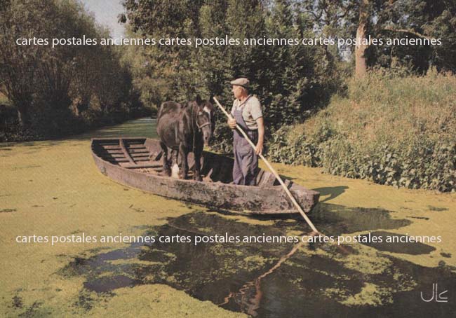 Cartes postales anciennes > CARTES POSTALES > carte postale ancienne > cartes-postales-ancienne.com Deux sevres  Niort