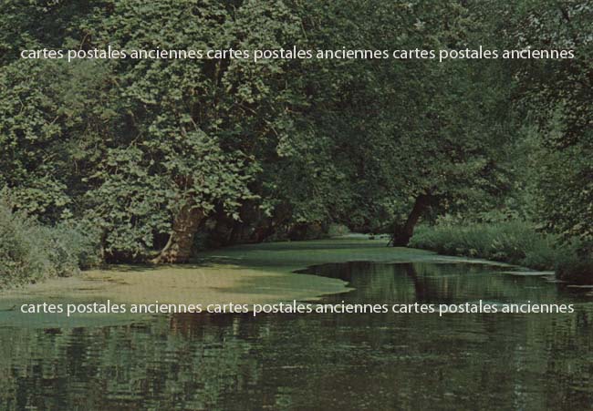 Cartes postales anciennes > CARTES POSTALES > carte postale ancienne > cartes-postales-ancienne.com Deux sevres  Niort