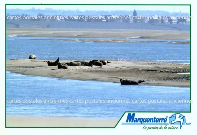 Cartes postales anciennes > CARTES POSTALES > carte postale ancienne > cartes-postales-ancienne.com Hauts de france Somme Le Crotoy