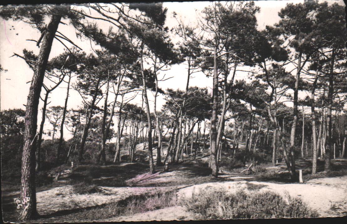 Cartes postales anciennes > CARTES POSTALES > carte postale ancienne > cartes-postales-ancienne.com Hauts de france Somme Cayeux Sur Mer