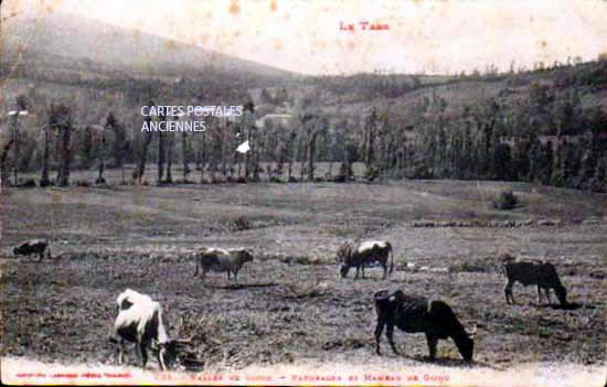 Cartes postales anciennes > CARTES POSTALES > carte postale ancienne > cartes-postales-ancienne.com Occitanie Tarn Gijounet