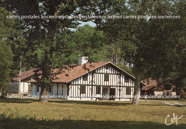 Cartes postales anciennes > CARTES POSTALES > carte postale ancienne > cartes-postales-ancienne.com Nouvelle aquitaine Landes Dax