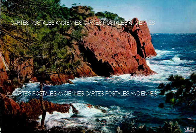 Cartes postales anciennes > CARTES POSTALES > carte postale ancienne > cartes-postales-ancienne.com Provence alpes cote d'azur Var Bormes Les Mimosas