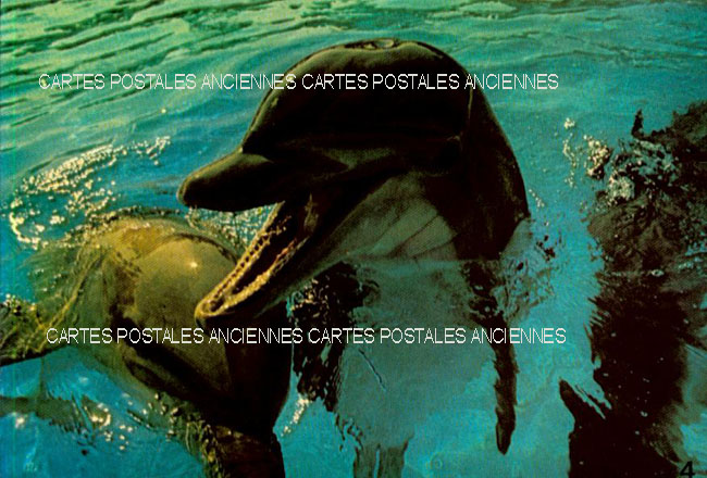 Cartes postales anciennes > CARTES POSTALES > carte postale ancienne > cartes-postales-ancienne.com Alpes maritimes  Antibes