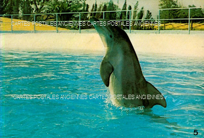 Cartes postales anciennes > CARTES POSTALES > carte postale ancienne > cartes-postales-ancienne.com Alpes maritimes  Antibes