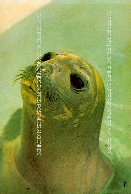 Cartes postales anciennes > CARTES POSTALES > carte postale ancienne > cartes-postales-ancienne.com Alpes maritimes  Antibes