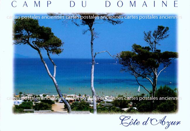 Cartes postales anciennes > CARTES POSTALES > carte postale ancienne > cartes-postales-ancienne.com Provence alpes cote d'azur Var Bormes Les Mimosas
