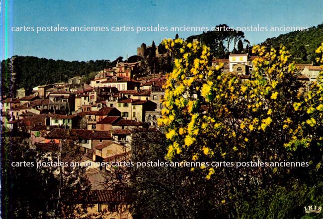 Cartes postales anciennes > CARTES POSTALES > carte postale ancienne > cartes-postales-ancienne.com Provence alpes cote d'azur Var Bormes Les Mimosas