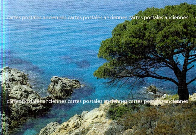 Cartes postales anciennes > CARTES POSTALES > carte postale ancienne > cartes-postales-ancienne.com Provence alpes cote d'azur La Croix Valmer