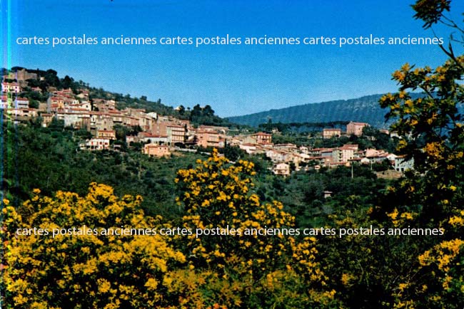 Cartes postales anciennes > CARTES POSTALES > carte postale ancienne > cartes-postales-ancienne.com Provence alpes cote d'azur Var Bormes Les Mimosas