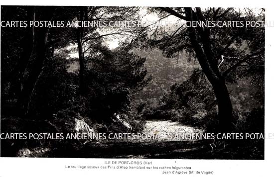 Cartes postales anciennes > CARTES POSTALES > carte postale ancienne > cartes-postales-ancienne.com Provence alpes cote d'azur Hyeres