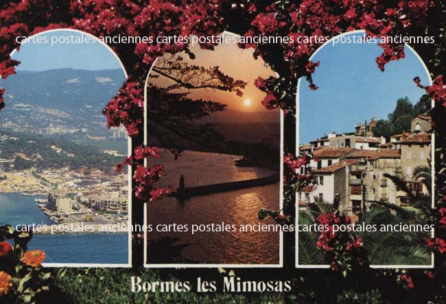Cartes postales anciennes > CARTES POSTALES > carte postale ancienne > cartes-postales-ancienne.com Provence alpes cote d'azur Var Bormes Les Mimosas