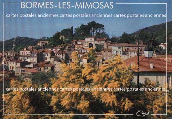 Cartes postales anciennes > CARTES POSTALES > carte postale ancienne > cartes-postales-ancienne.com Provence alpes cote d'azur Var Bormes Les Mimosas