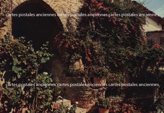Cartes postales anciennes > CARTES POSTALES > carte postale ancienne > cartes-postales-ancienne.com Provence alpes cote d'azur Var Bormes Les Mimosas