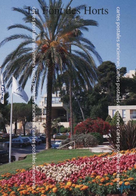 Cartes postales anciennes > CARTES POSTALES > carte postale ancienne > cartes-postales-ancienne.com Provence alpes cote d'azur Hyeres